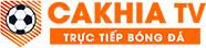 tuệ an